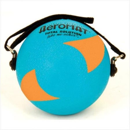 AGM GROUP AGM Group 35943 5 in. Power Yoga-Pilates Weight Ball - Teal-Orange 35943